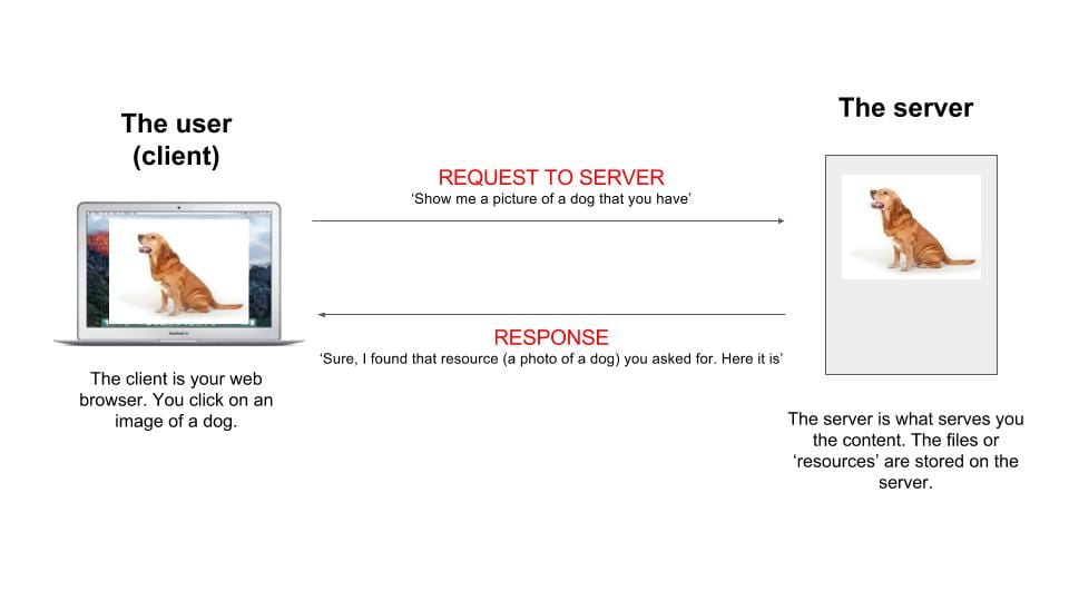 API example with requests