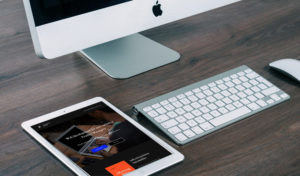 Product management web development course