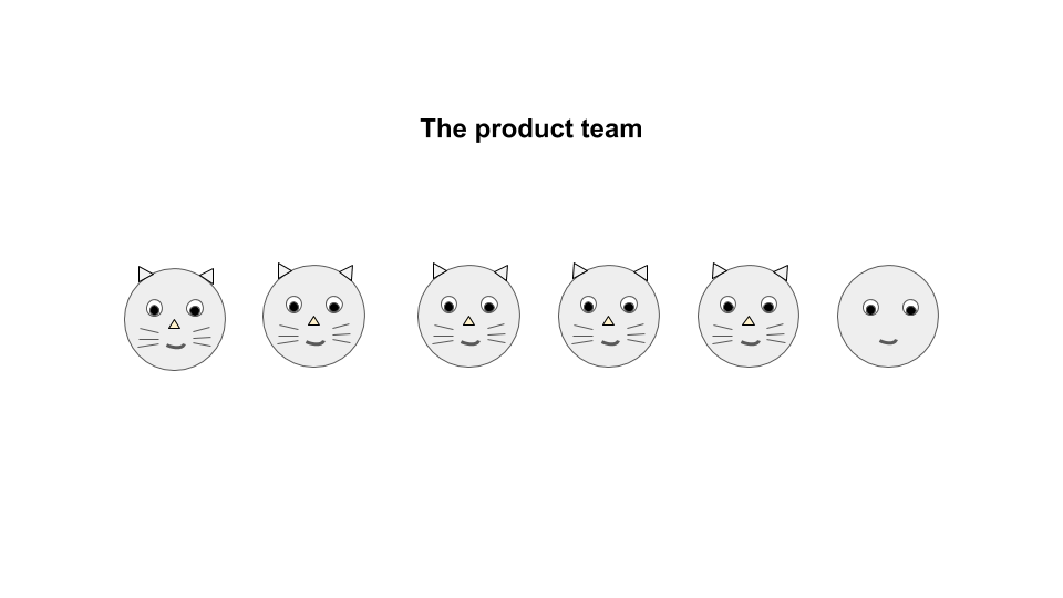 the product team